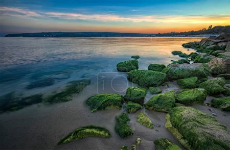 Foto de Belleza mar costa rocosa con musgo verde en las piedras - Imagen libre de derechos