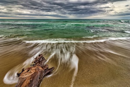 Foto de Árbol en la playa con olas derramadas - Imagen libre de derechos