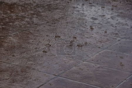 Foto de Superficie del agua durante la lluvia. Las gotas de lluvia están cayendo a la calle
. - Imagen libre de derechos