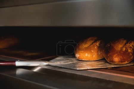 Photo for "Baking bread in a shovel in a bakery. The baker takes out fresh hot bread from the baking oven" - Royalty Free Image