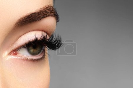 Téléchargez les photos : Bel œil féminin avec des cils extrêmement longs, un maquillage de doublure noir. Maquillage parfait, cils longs. Yeux de mode proches - en image libre de droit