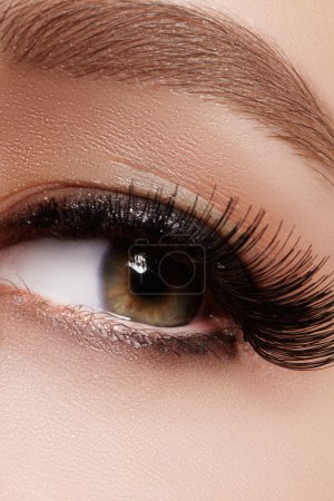 Photo for Beautiful female eye with extreme long eyelashes, black liner makeup. Perfect make-up, long lashes. Closeup fashion eyes - Royalty Free Image