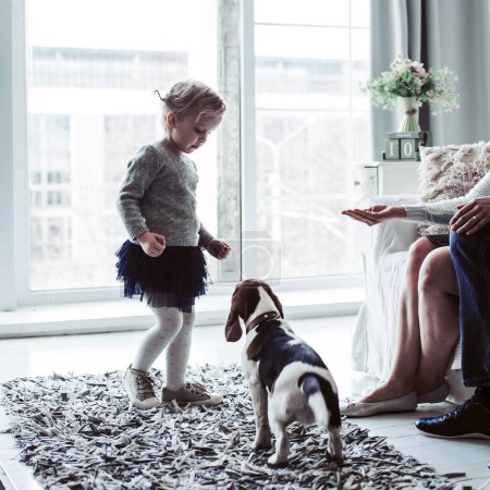 Photo for Little girl playing with her dog in the spacious living room - Royalty Free Image