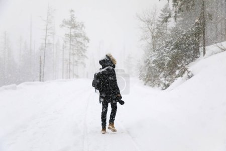 Téléchargez les photos : Le photographe sur la route d'hiver en forêt pendant le blizzard - en image libre de droit