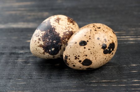 Photo for Quail eggs close up - Royalty Free Image