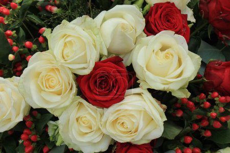 Téléchargez les photos : "Roses rouges et blanches" - en image libre de droit