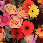 A colorful flower arrangement close up