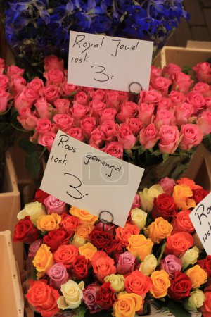 Foto de Flowers in various colors at a market - Imagen libre de derechos