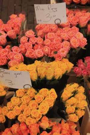 Photo for "Roses in various colors at a market" - Royalty Free Image