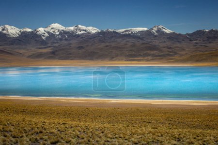 Photo for "Laguna Miscanti, salt lake in Atacama desert, volcanic landscape, Chile" - Royalty Free Image