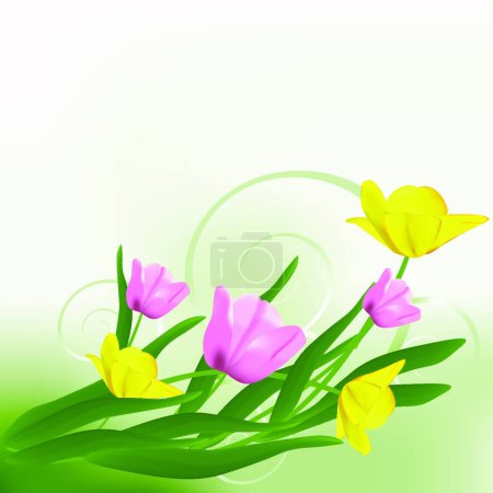 Illustration for Blossom background  vector  illustration - Royalty Free Image