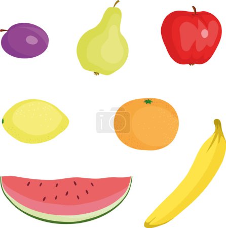 Illustration for Fruit set modern vector illustration - Royalty Free Image