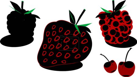 Téléchargez les illustrations : Illustration vectorielle moderne Berry Fruit - en licence libre de droit