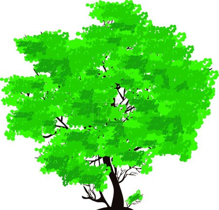 Téléchargez les illustrations : "Arbre vert "illustration vectorielle - en licence libre de droit