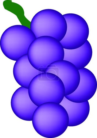 Photo for Grapes icon   vector illustration - Royalty Free Image