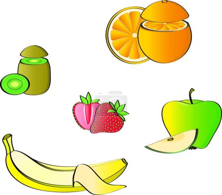 Illustration for Some fruits, graphic vector illustration - Royalty Free Image