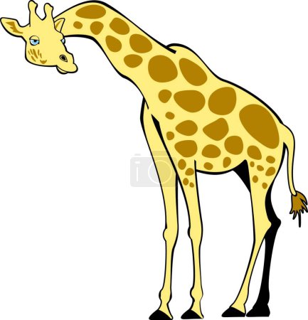 Téléchargez les illustrations : Girafe, illustration vectorielle graphique - en licence libre de droit