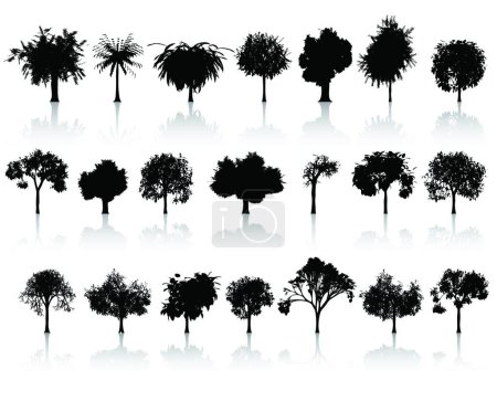 Téléchargez les illustrations : Ensemble d'arbres détaillés, illustration vectorielle conception simple - en licence libre de droit