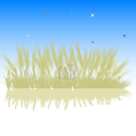 Illustration for Grass silhouette wheat, night sky - Royalty Free Image