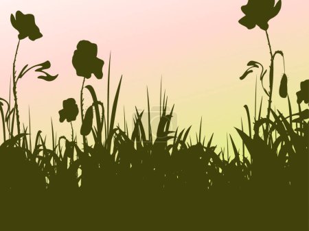 Illustration for Floral design background, vector illustration - Royalty Free Image