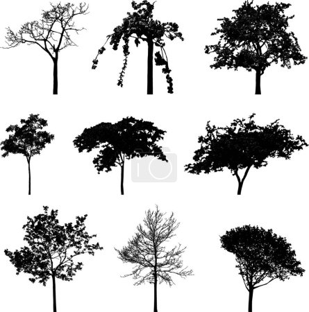 Ilustración de Árboles siluetas conjunto vector ilustración - Imagen libre de derechos