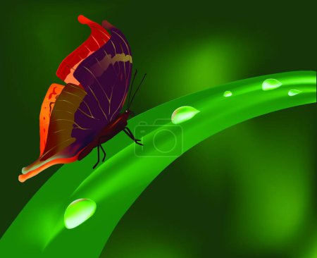 Téléchargez les illustrations : "Gouttes et papillon "icône plate, illustration vectorielle - en licence libre de droit