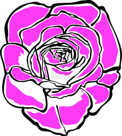 Illustration for Illustration of the rose - Royalty Free Image