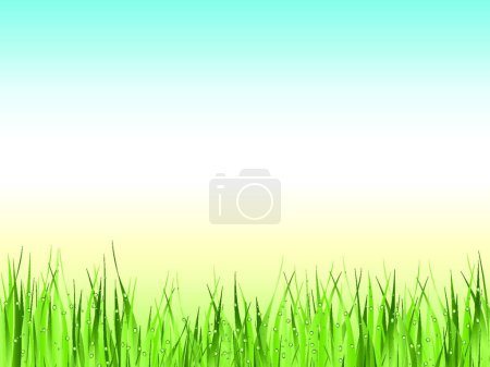 Téléchargez les illustrations : Illustration vectorielle d'herbe humide verte - en licence libre de droit