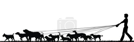 Illustration for Female dog walker vector illustration - Royalty Free Image
