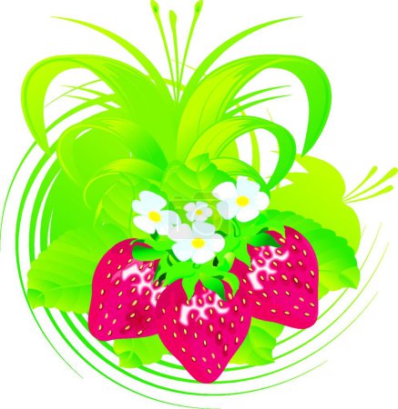 Téléchargez les illustrations : Illustration vectorielle moderne de fraises - en licence libre de droit