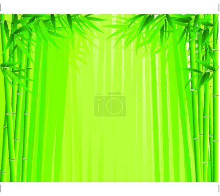 Téléchargez les illustrations : Bambou, illustration vectorielle colorée - en licence libre de droit