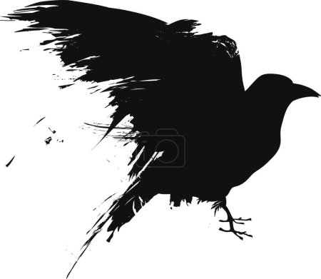 Illustration for Grunge raven modern vector illustration - Royalty Free Image