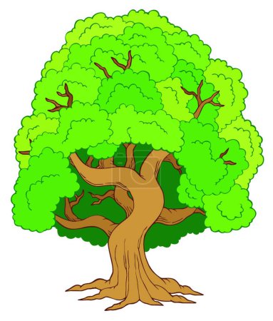Téléchargez les illustrations : Illustration vectorielle arbre feuillu vert - en licence libre de droit