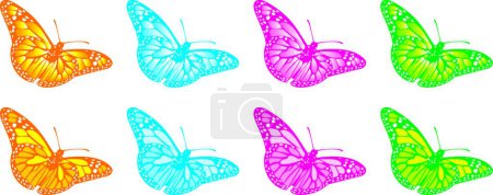 Illustration for Butterflies, colored vector illustration - Royalty Free Image