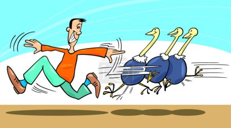 Ilustración de Hombre y avestruces, ilustración vectorial colorido - Imagen libre de derechos