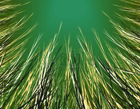 Illustration for Dry grass, graphic vector illustration - Royalty Free Image