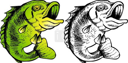Ilustración de Big Mouth Bass, ilustración vectorial gráfica - Imagen libre de derechos