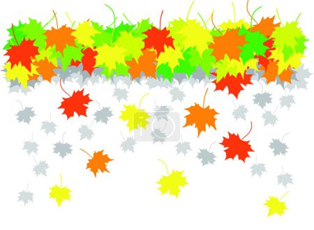 Illustration for Falling maple leaves, graphic vector illustration - Royalty Free Image
