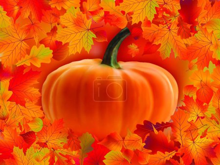 Illustration for Pumpkin card with copyscace, graphic vector illustration - Royalty Free Image