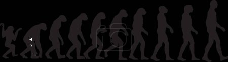 Ilustración de Evolución humana, ilustración vectorial gráfica - Imagen libre de derechos