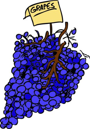 Téléchargez les illustrations : Illustration vectorielle moderne du raisin violet - en licence libre de droit