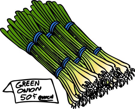 Ilustración de Manojo de cebollas verdes vector moderno ilustración - Imagen libre de derechos