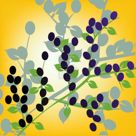 Illustration for Olives, graphic vector illustration - Royalty Free Image
