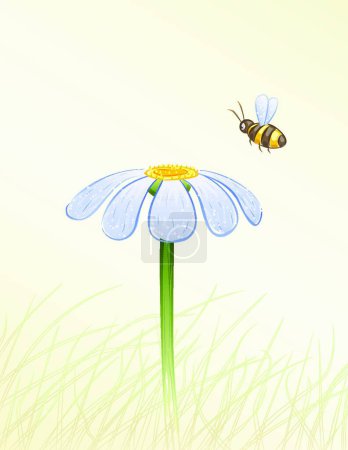 Téléchargez les illustrations : Illustration vectorielle marguerite et abeille - en licence libre de droit