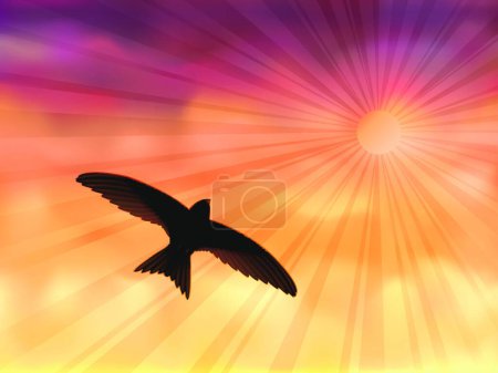 Illustration for Evening swallow, colorful vector illustration - Royalty Free Image