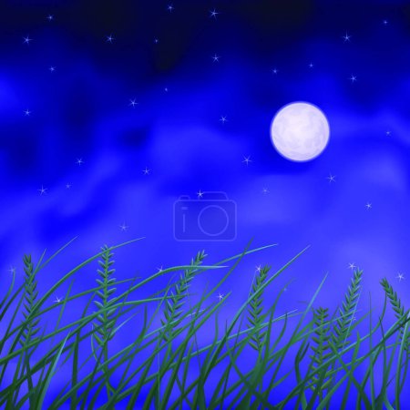 Téléchargez les illustrations : Illustration vectorielle moderne de champ nocturne - en licence libre de droit