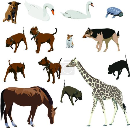 Illustration for Animals, colorful vector illustration - Royalty Free Image