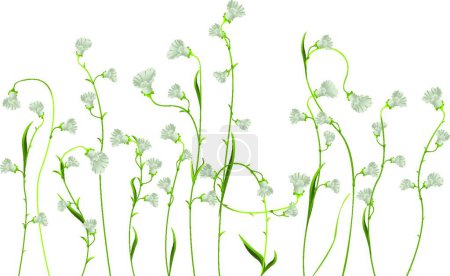 Ilustración de Hermoso fondo floral, ilustración vectorial - Imagen libre de derechos