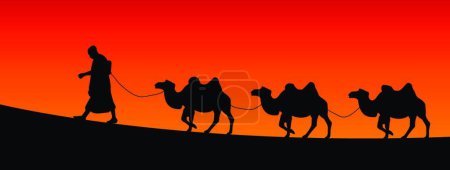 Téléchargez les illustrations : Camels illustration vectorielle colorée - en licence libre de droit