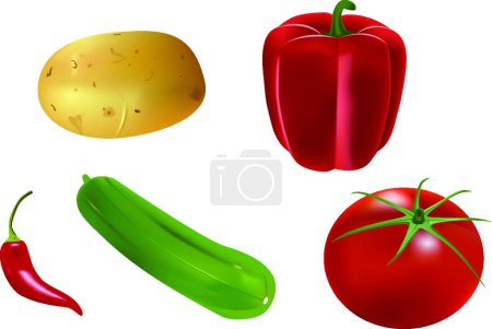 Téléchargez les illustrations : Légumes illustration vectorielle colorée - en licence libre de droit